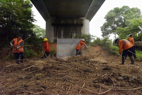 5月9日，九江橋工段永修路橋車間作業(yè)人員對村民堆放的柴木進(jìn)行清理。黃旸攝