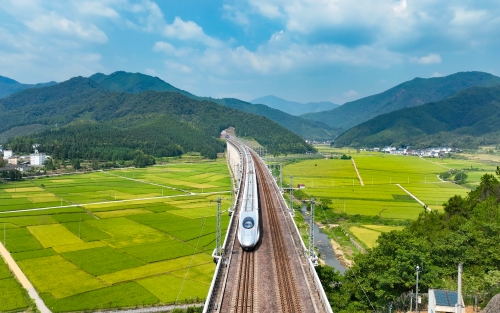 3.向莆鐵路上，動(dòng)車飛馳在稻田間。 張海根  攝